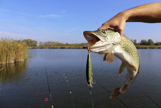 Fishing